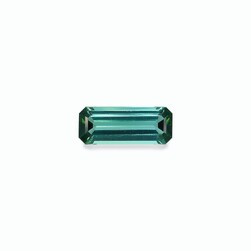 Зеленый турмалин 3.24 карат (TB0220GBS)