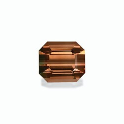Двухцветный турмалин 17.05 карат (BT0170GBS)