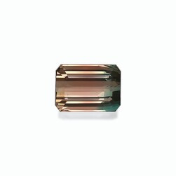 Двухцветный турмалин 27.66 карат (BT0047GBS)